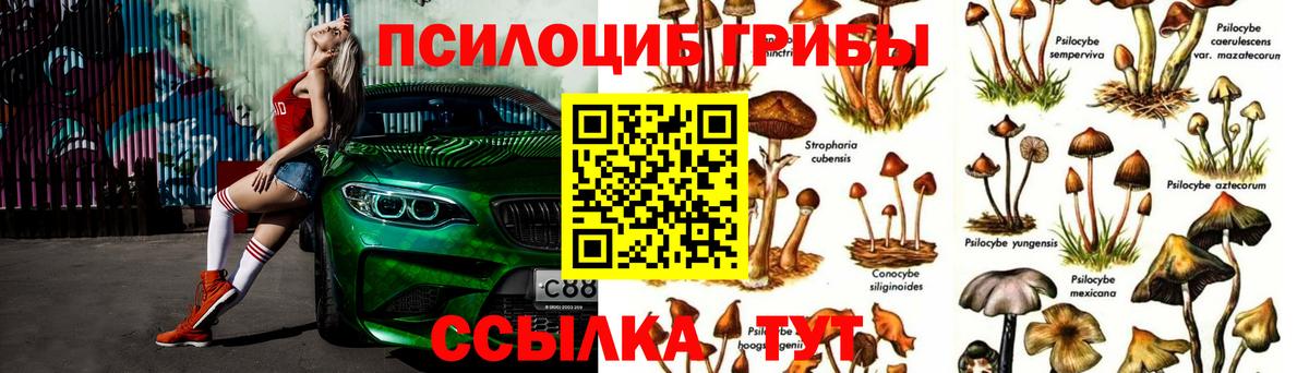 Галлюциногенные грибы Cubensis  Вход с VPN  Переславль-Залесский  Галлюциногенные грибы ЛСД 